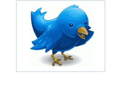 Twitter - Is it a good tool for brand promotion...