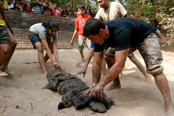 Animal Planet celebrates the wildlife of India with INDIA: WILD ENCOUNTERS